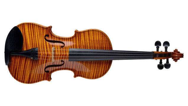 Ornate flamed maple violin with ebony fingerboard, isolated on transparent background
