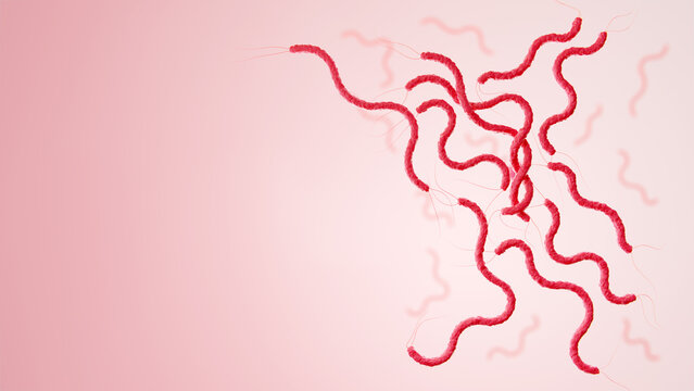 Pink spirillum or Spirilla bacteria cells floating on light background. 3D Rendering