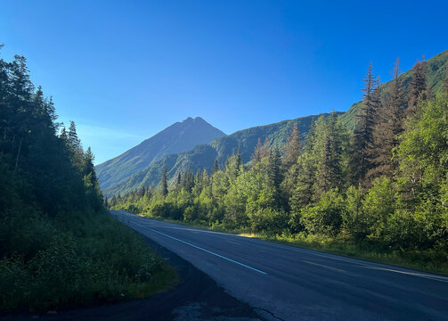 Trees around road on a summer day in Alaska near Soldotna.