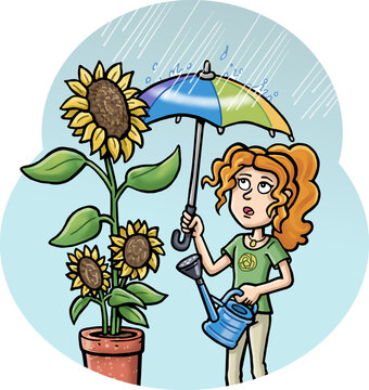 Girl with sunflower and colorful umbrella in the rain, cartoon illustration