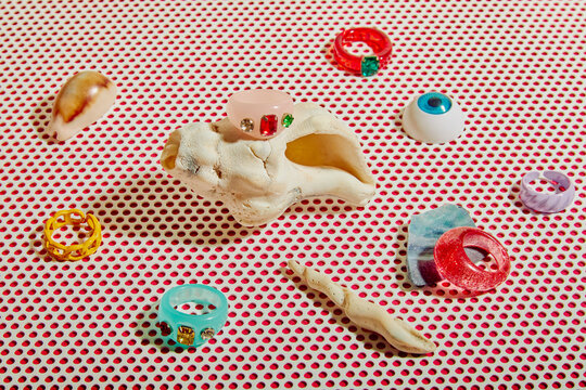 Seashells & jewelry