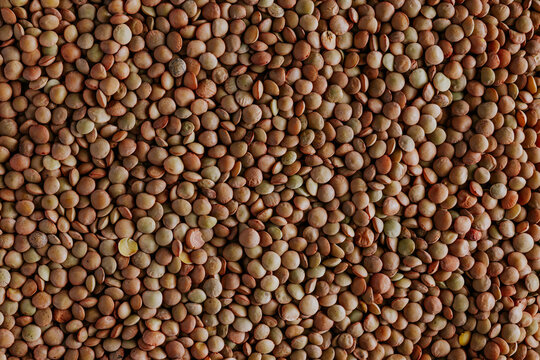 Close-up background of brown lentil texture, dry legume