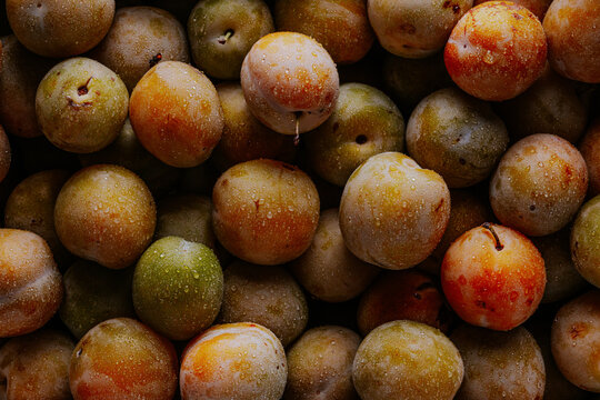 Fresh plum background with water droplets, top view