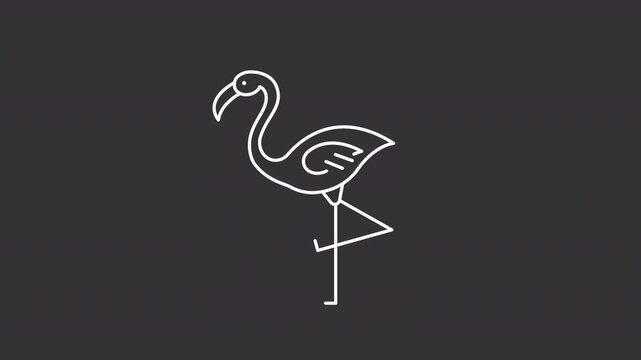 Animated flamingo standing on one leg white line icon. Tropical fauna studying outline animation. Beautiful pink bird. Wild animal from exotic country. Dark mode linear motion graphic loop