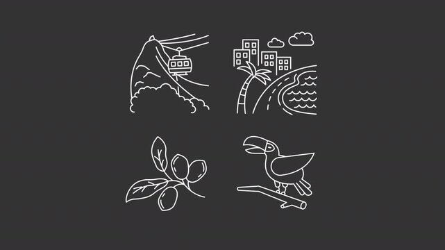 Animated amazing nature of Brazil white line icons. Travel to tropical country outline animation set. Combination of urban area and wildlife. Dark mode linear motion graphics loop