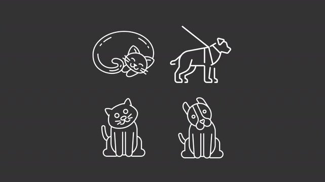 Animated cute pets white line icons. Caring about domestic animals outline animation set. Cat and dogs adoption. Fluffy companions living with people. Dark mode linear motion graphics loop