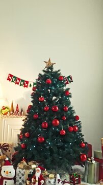 Decorated Christmas tree stands in a festive living room