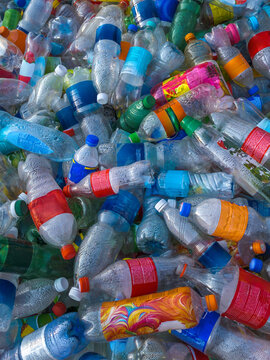 Collection of Used Plastic Beverage Bottles