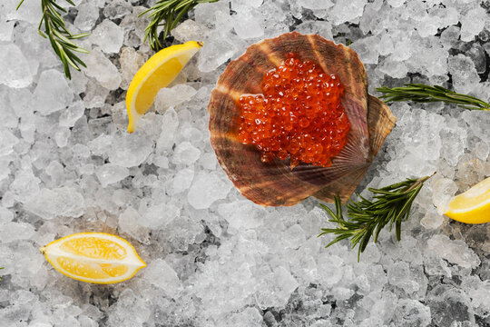 Red salmon roe served in scallop shell on crushed ice, accompanied by lemon wedge and sprigs of rosemary. Luxurious seafood appetizer. Top-down view; bright orange roe glistens against gray background
