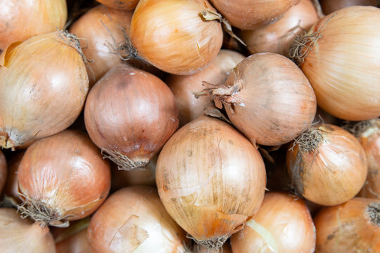 Pile of fresh raw onions, cooking ingredient, grocery market, harvest of vegetable, food farmingm skin peel and roots
