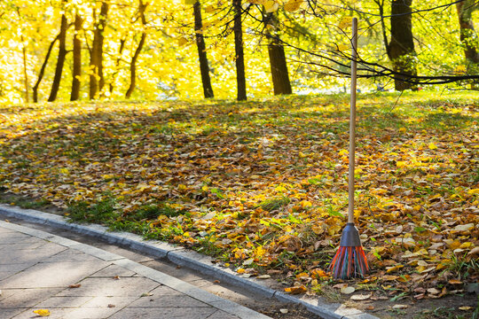 Broom with wooden handle and colorful bristles stands on curb edge. Autumn park, fallen yellow leaves, green grass, trees, sunlight. Seasonal cleaning tool. Outdoor scene