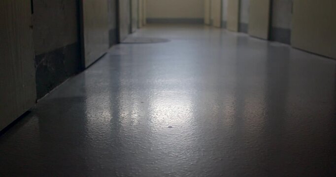 Low-angle polished school corridor floor reflecting cool window light,