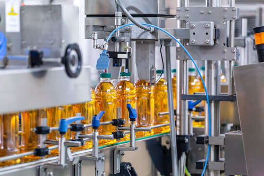 Beverage Bottling and Packaging Automation with Capped Plastic Bottles Passing Under Industrial Machinery on Factory Conveyor During Mass Production.