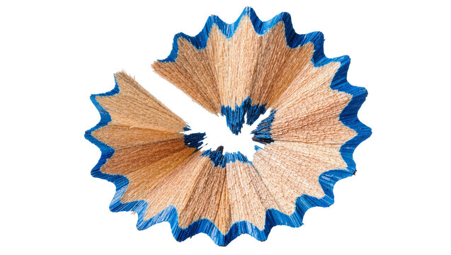 Blue edged wooden pencil shaving spiral, isolated on transparent background