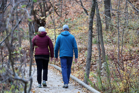 Un couple se prom&egrave;ne dans un parc en automne. Un homme et une femme marchent le long de l&rsquo;all&eacute;e.