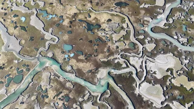 Winding channels meander through a scenic salt marsh growing on Cape Cod, Massachusetts. Salt marshes are an incredibly important coastal habitat used by many species of fish, birds, and shellfish.
