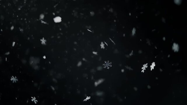 A dark, atmospheric triptych captures the delicate beauty of falling snowflakes against a black background.