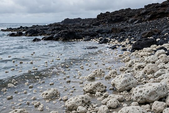 Volcanic black lava rocks and porous white coral stones scattered along a scenic tropical beach shoreline