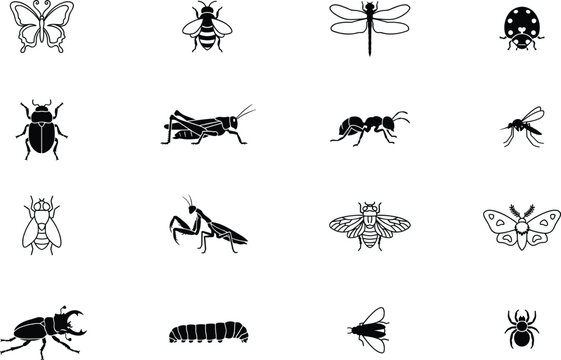 Insects set with butterfly, bee, dragonfly, beetle, ant, grasshopper, and other bugs. minimalist icon design. and spider