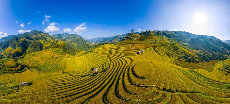 Aerial view of golden rice terraces at Mu Cang Chai town near Sapa city, North of Vietnam. Beautiful terraced rice field in harvest season in Lao Cai province.