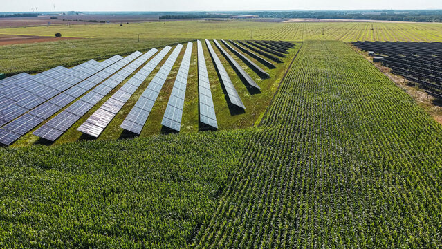Solar Farm Infrastructure for Clean Electricity Generation