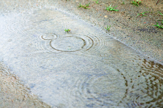 Rain puddles forming on muddy backyard ground