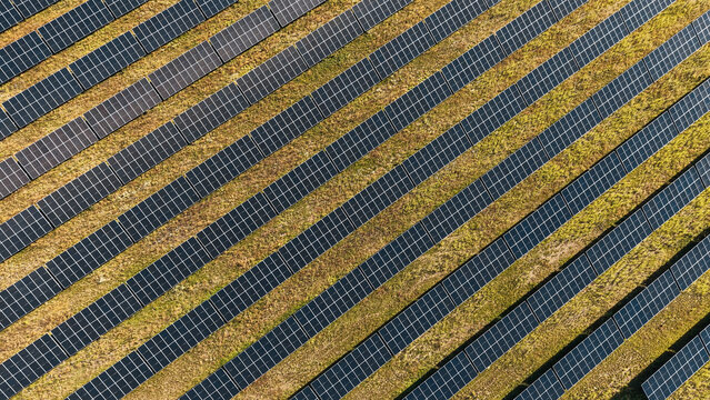 Large Solar Energy Farm with Rows of Photovoltaic Panels Viewed from Above