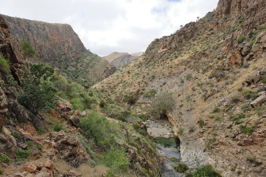 Quiver Tree Canyon, Naukluft Mountains, Namibia, Africa