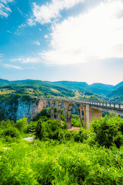 Djurdjevica Tara Bridge over the deep Tara River canyon, a massive concrete arch bridge and iconic landmark of Durmitor National Park, Montenegro.