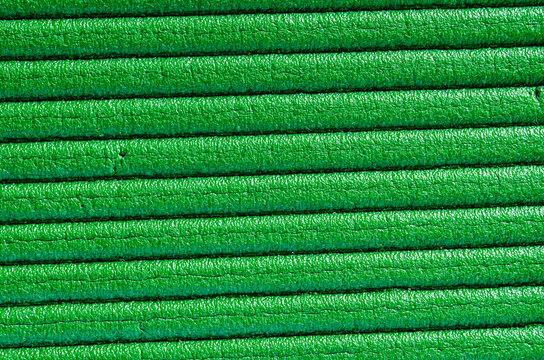 Close view of green plant leaf veins running across the frame