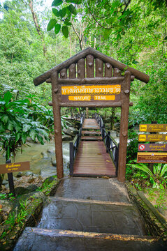 Wooden Footbridge Entrance to Nature Trail in Lush Forest Setting