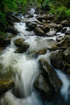 Rocky Mountain Stream with Flowing Water and Dense Green Forest Background
