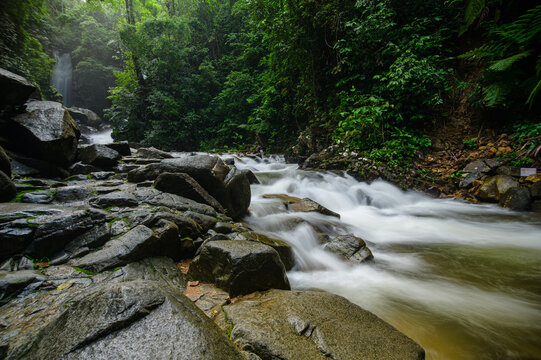 Tranquil mountain river flowing through lush green forest with rocks and waterfalls