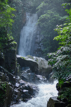 Majestic Waterfall Cascading Through Dense Green Forest with Rocky Terrain