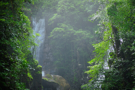 Misty forest landscape with waterfalls and lush green foliage on a cloudy day