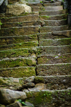 Moss-covered stone staircase in a lush outdoor natural setting