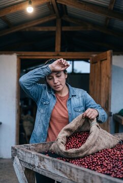 Tired female farmer wiping sweat from forehead while holding burlap sack filled with freshly harvested red coffee cherries at rustic processing facility