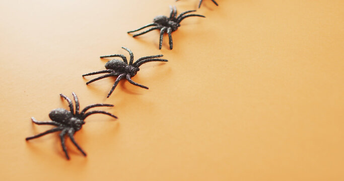 Close up of multiple spider toys with copy space against orange background