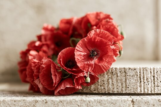 Red poppy wreath on textured stone memorial, symbol of remembrance and military tribute