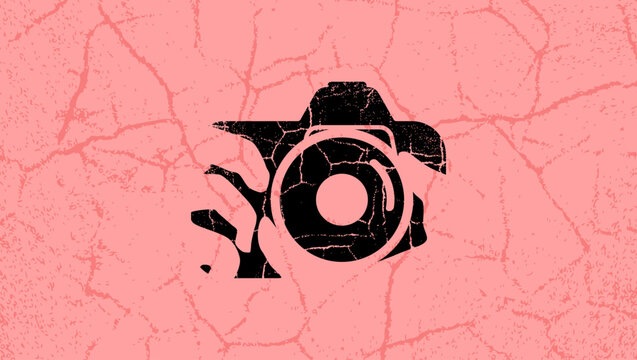 Professional Photographer symbol, color vector illustration