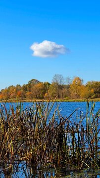 autumn landscape with trees and river, Poland