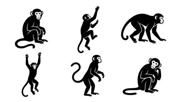 Black and White Monkey Silhouette Vector Icon Set With Climbing, Sitting and Hanging Poses