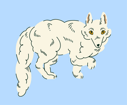 Arctic Fox with Thick Pale Fur and Bushy Tail, Northern Tundra Mammal Hand Drawn Illustration for Wildlife Education, Animal Identification Cards, Children Books and Polar Nature Guides
