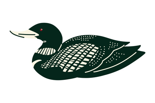 Yellow Billed Loon Floating on Water with Dark Plumage and Pale Checked Markings, Arctic Diving Bird Hand Drawn Illustration for Wildlife Education, Bird Identification and Nature Guides