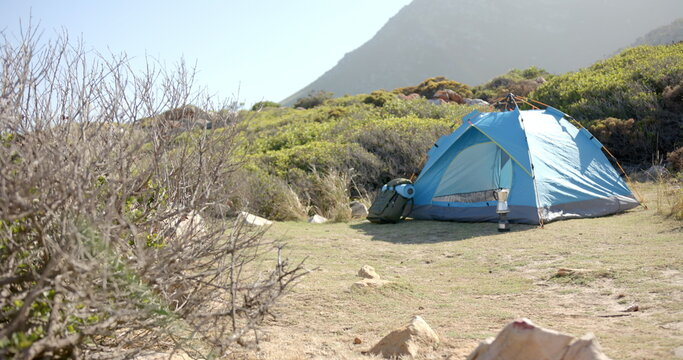 Camping in blue tent on mountain hike, surrounded by nature and greenery