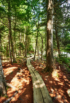 The winding wooden boardwalk trail around Jordan Pond in Acadia National Park in Maine, New England