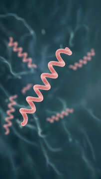3D microscopic render of several corkscrew-shaped spirochete bacteria drifting in a soft translucent fluid