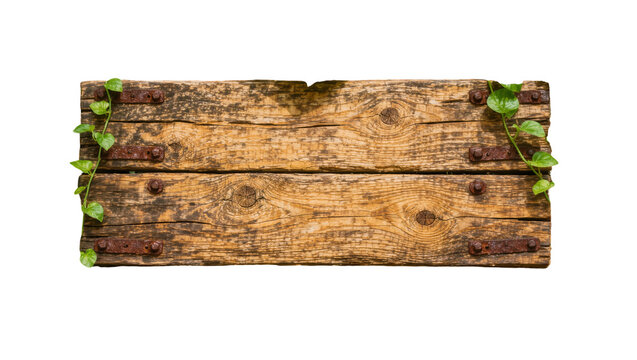 Weathered wooden planks with rusty metal hinges and green ivy, isolated on transparent background
