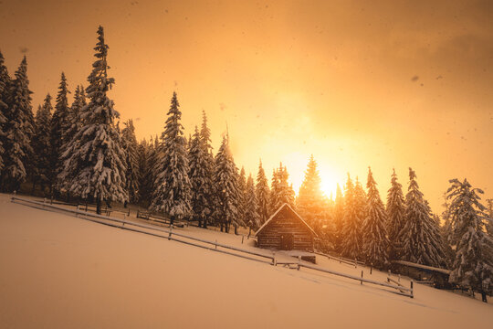 Golden sunset illuminates a snowy hillside with wooden cabin surrounded by evergreen forest. Fresh snow and long shadows create a tranquil winter landscape