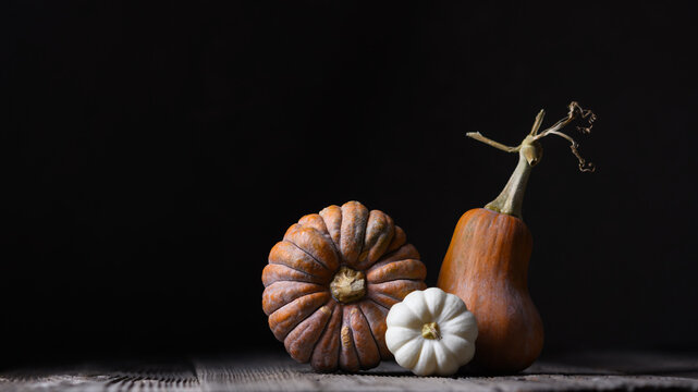 Decorative squash and pumpkins on wooden table with dark negative space. Minimal fall still life with gourds and moody harvest atmosphere